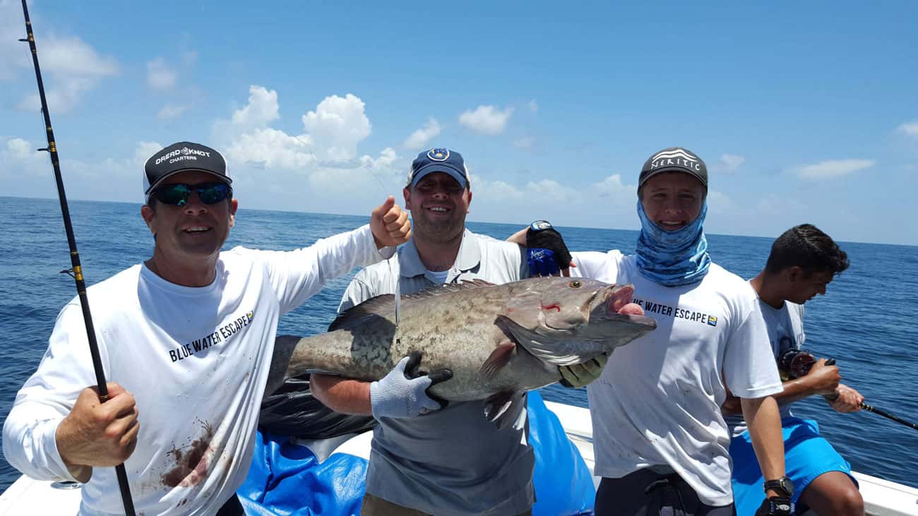Blue Water Escape Charters
