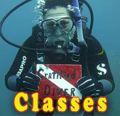 Coastal Scuba