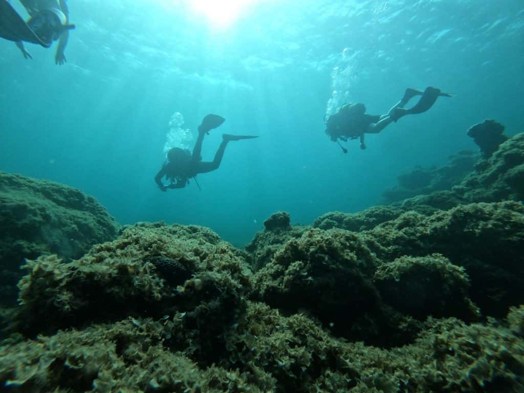 Dive Blue Dream