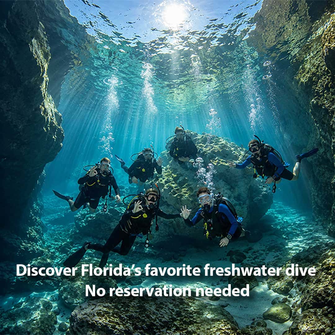 Blue Grotto Dive Resort