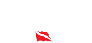 Dive in La Paz
