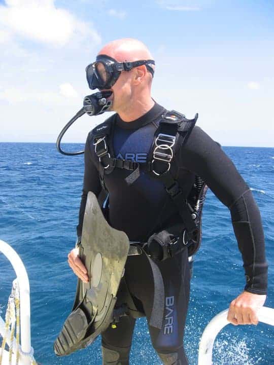 Dive In Scuba