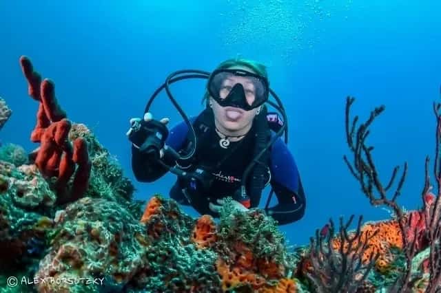 DiveLogix Scuba Training and Support