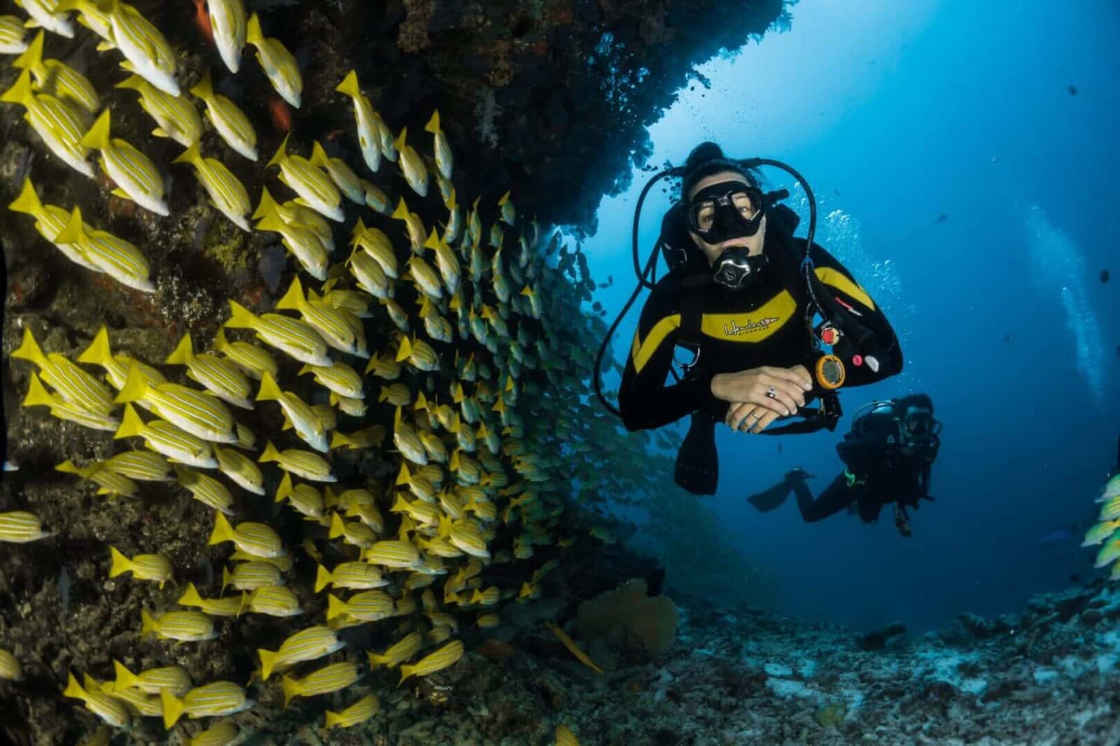DiveLogix Scuba Training and Support