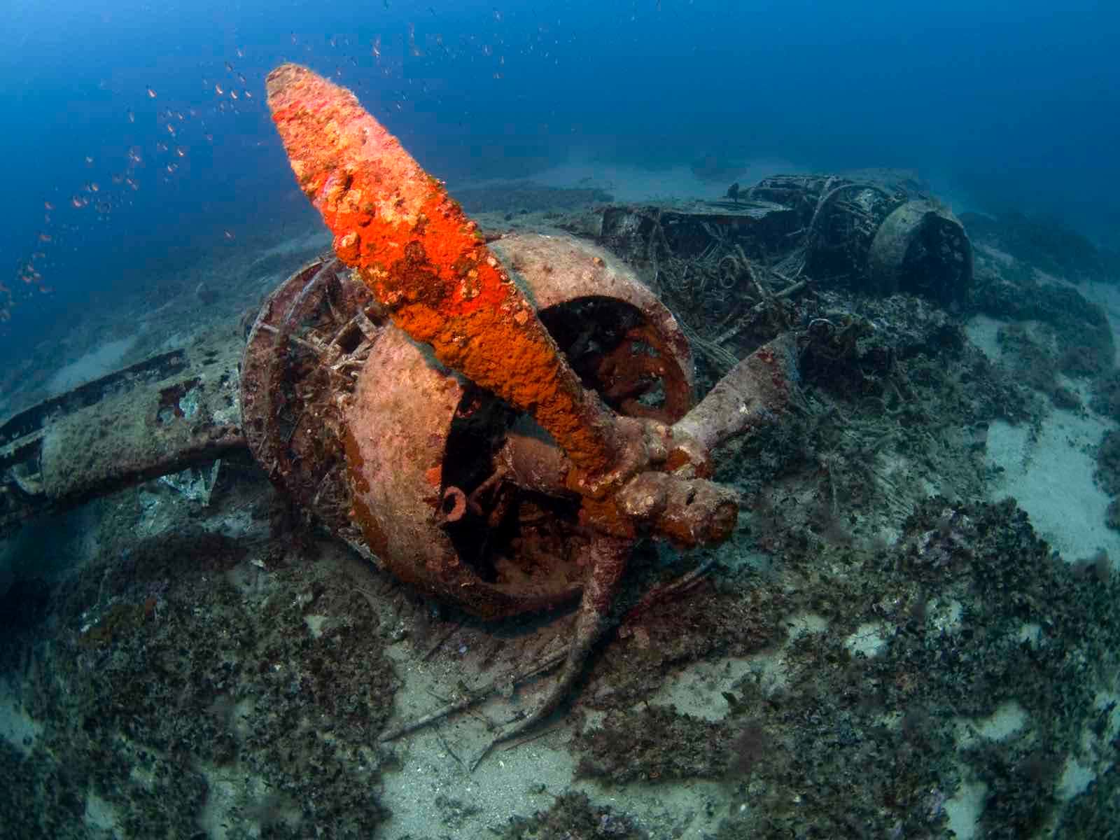 diveshack Malta