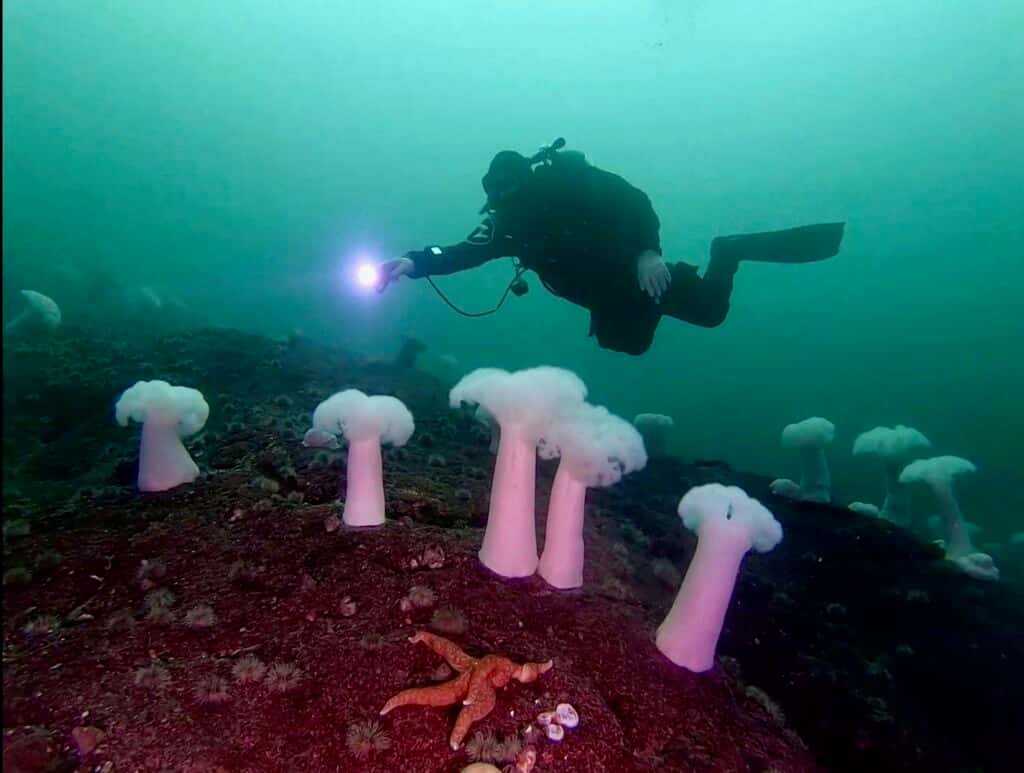 Ocean Quest Dive Centre