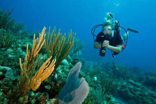 Divers Mast Scuba & Guns