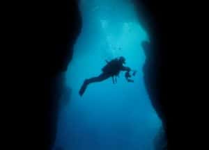 Bubbles Dive Centre — photo 3