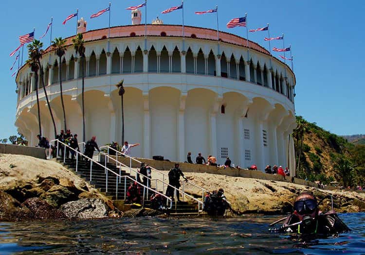 Diving Catalina — photo 2