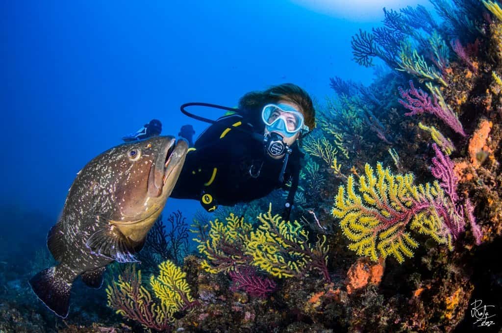 Diving Center La Sirena