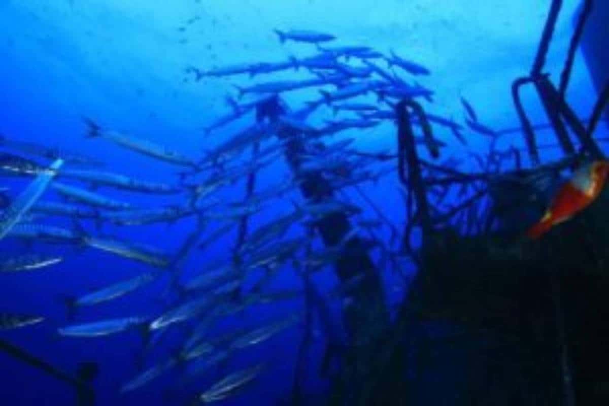 Private Gozo Tours — photo 3
