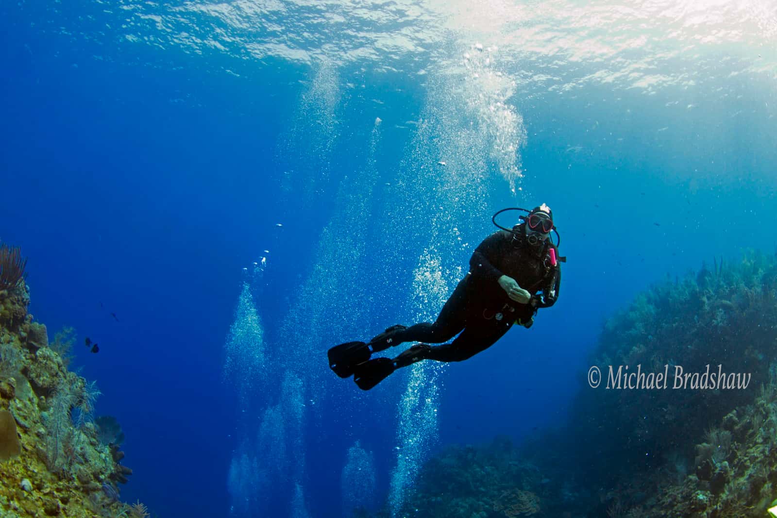 Wateree Dive Center