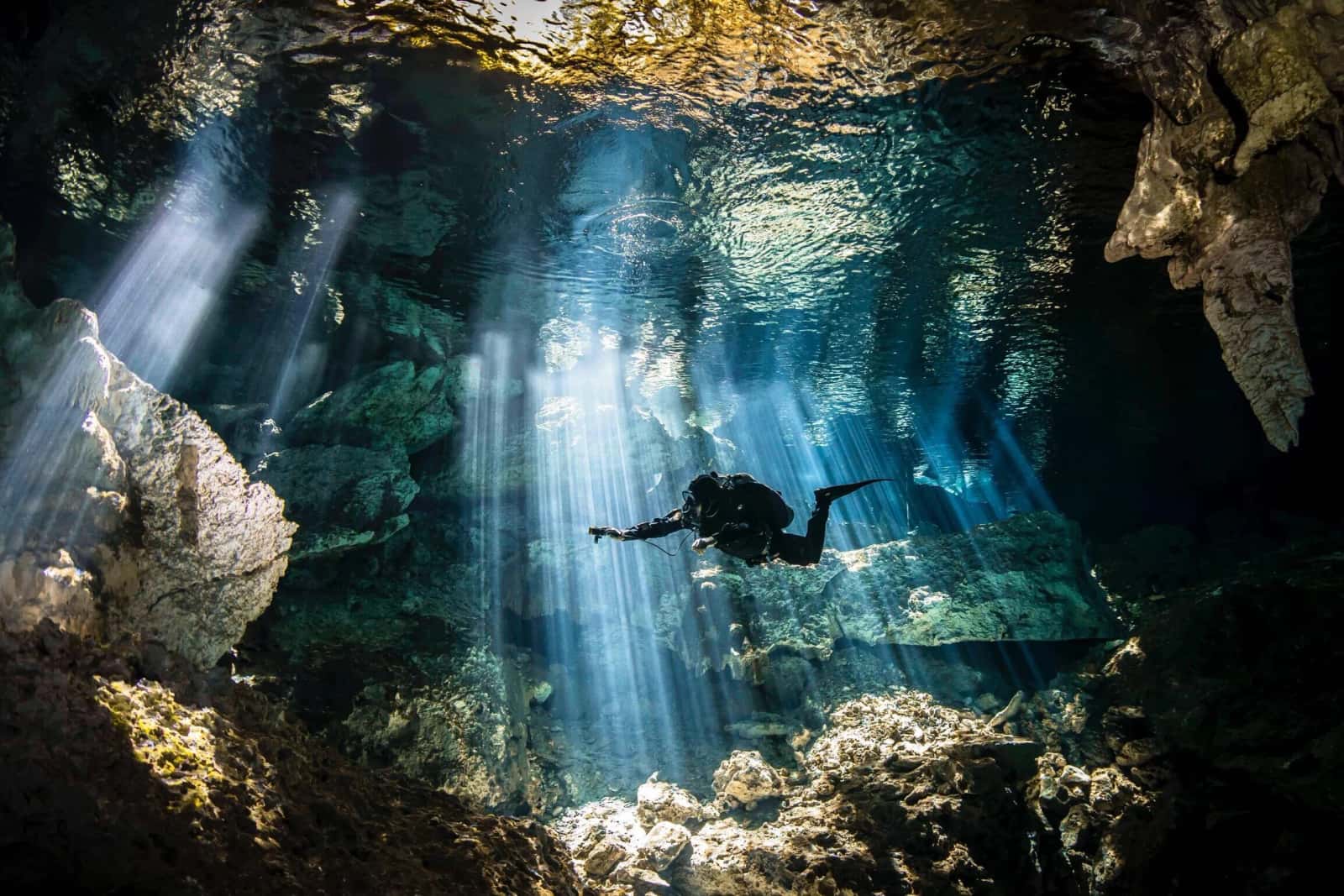 Go Dive Mexico
