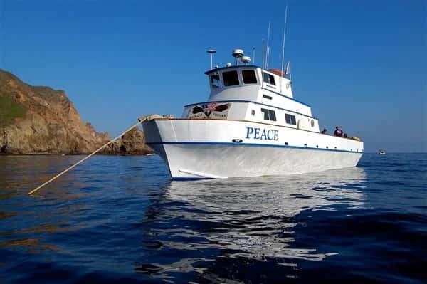 Peace Dive Boat