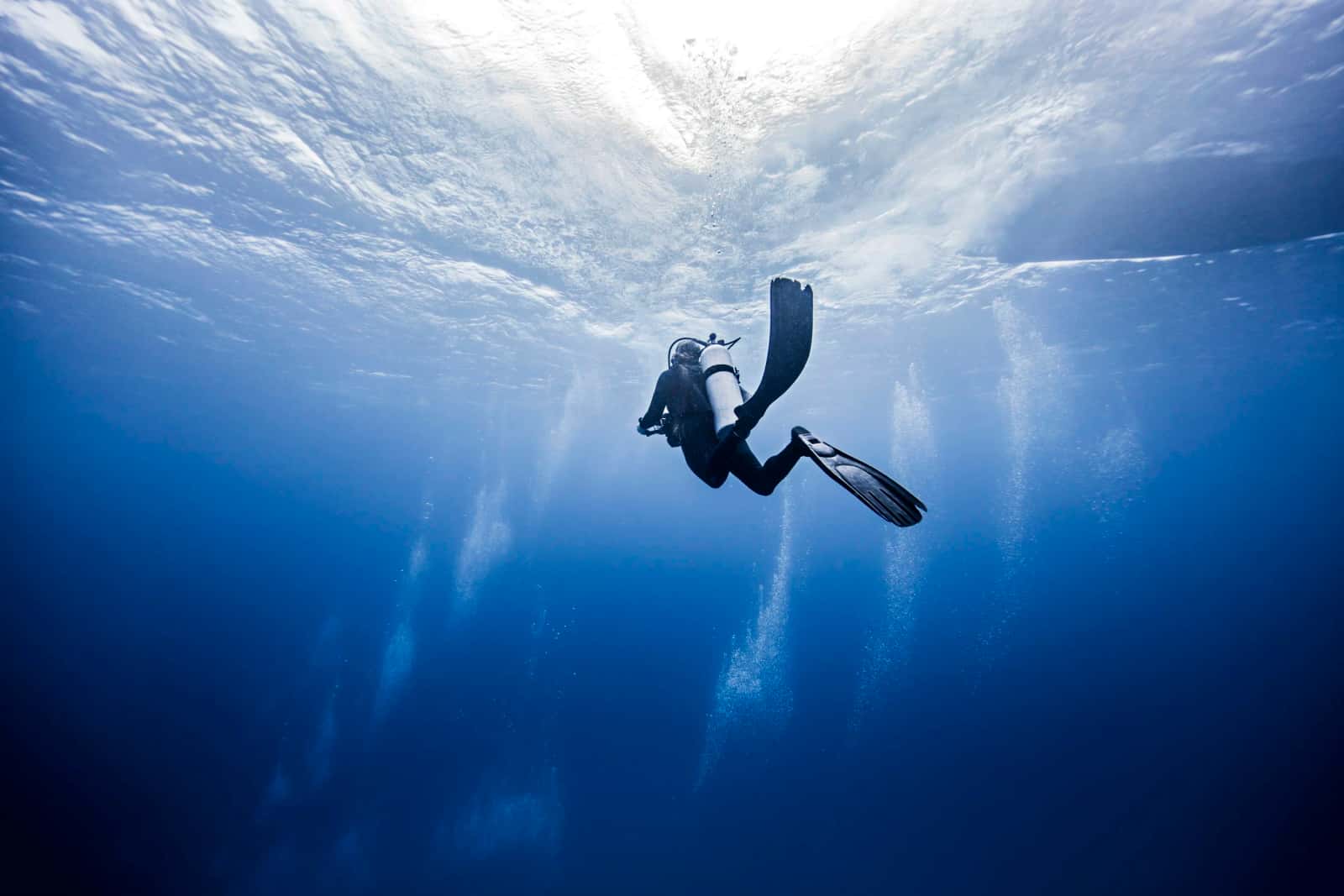 Sandy Bay Divers