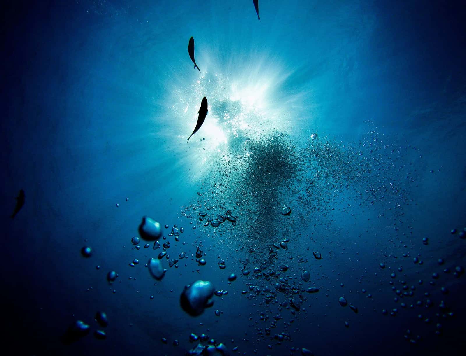 Upstate Scuba