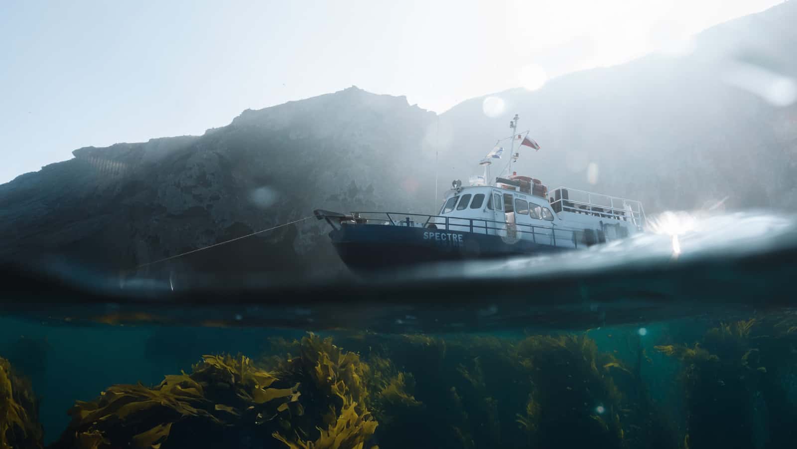 Spectre Dive Boat