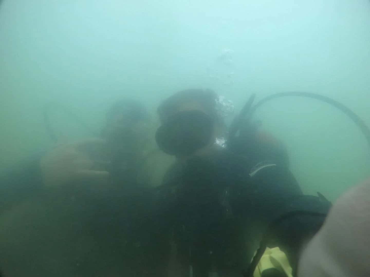 DIVE TENNESSEE