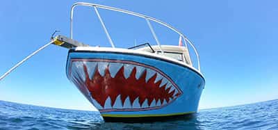 Shark Quest Dive Shop