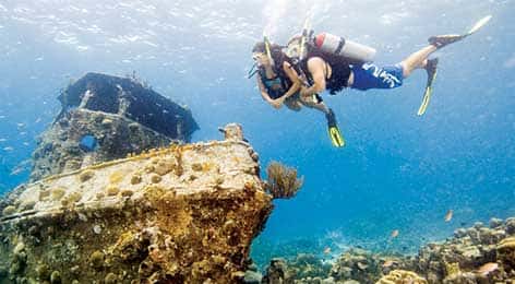 Dive and Photo
