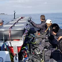 Pacific Scuba Divers