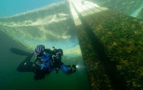Eight Diving