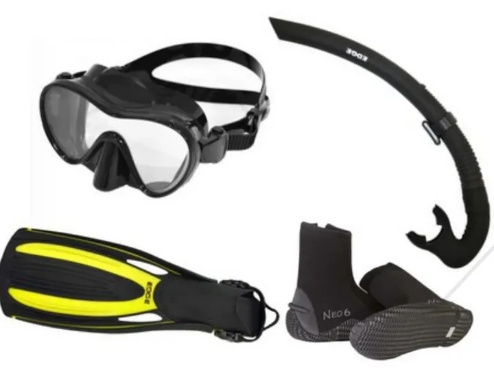 Gigglin' Marlin Dive & Swim