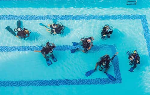 Venice Dive Center
