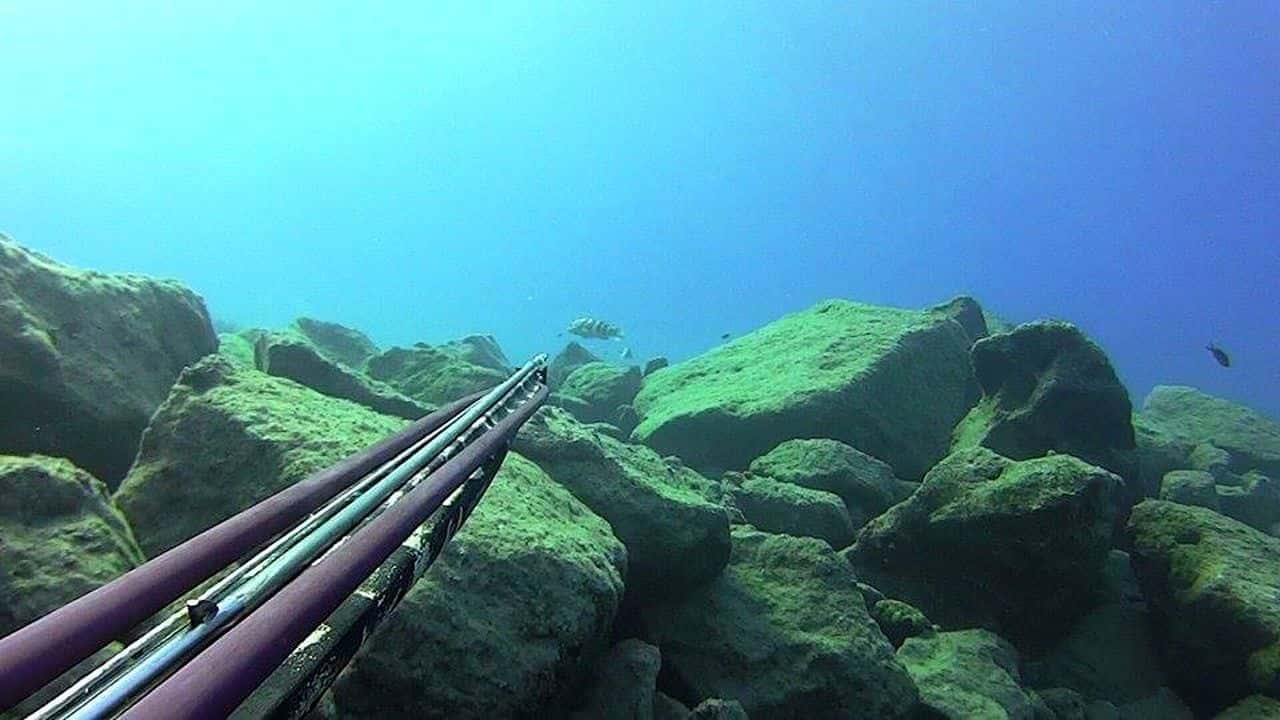 in2deep