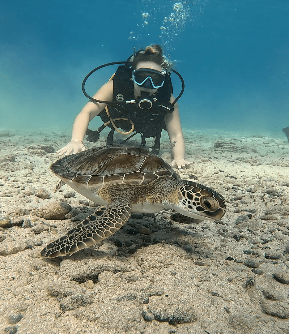 IPA DIVERS CYPRUS