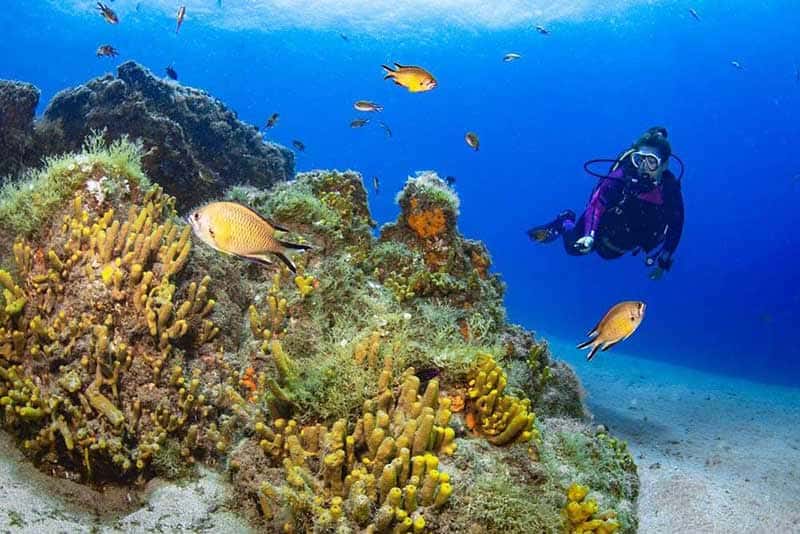 Manta Diving Lanzarote — photo 2