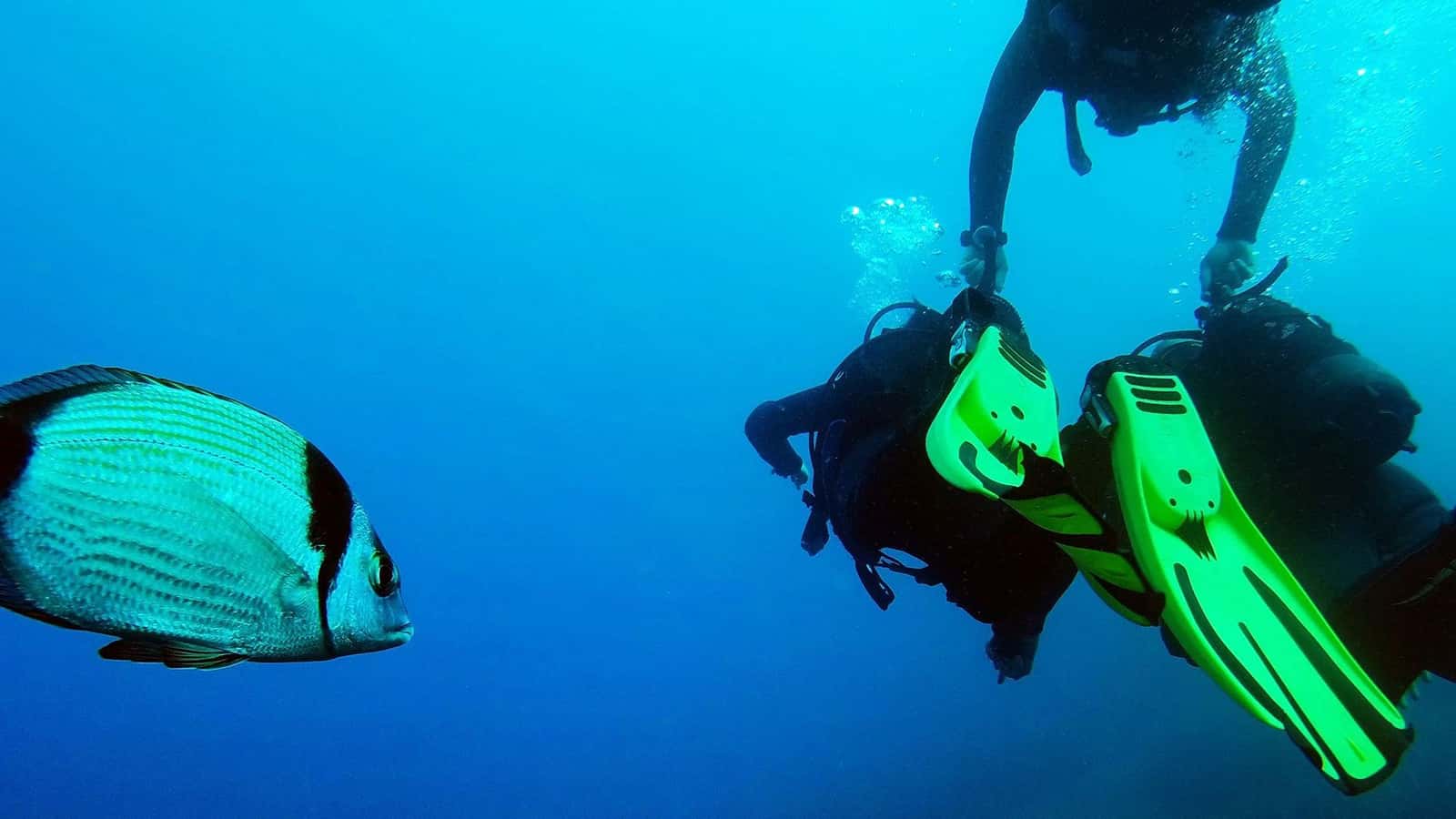 Navy's Waterworld