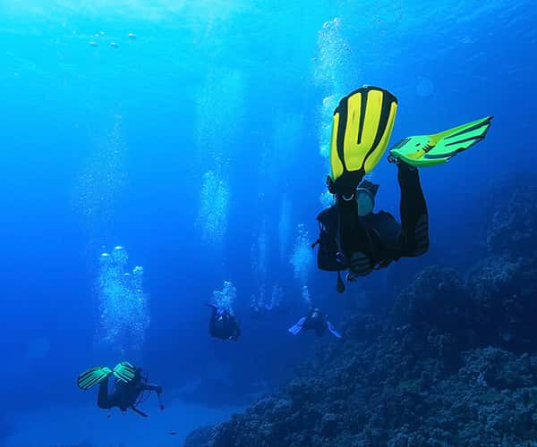 Family Diving Gozo