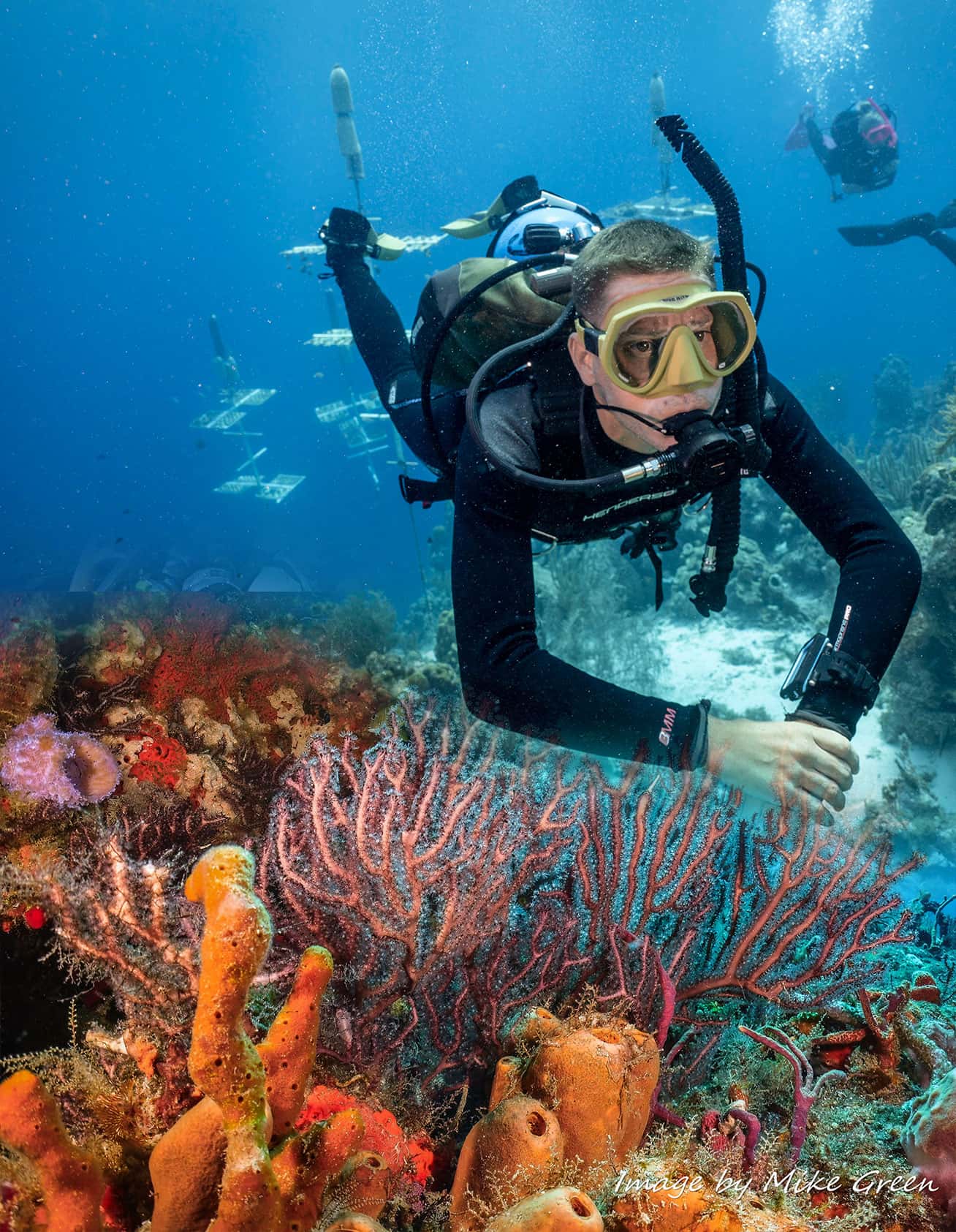 Ocean Quest Scuba