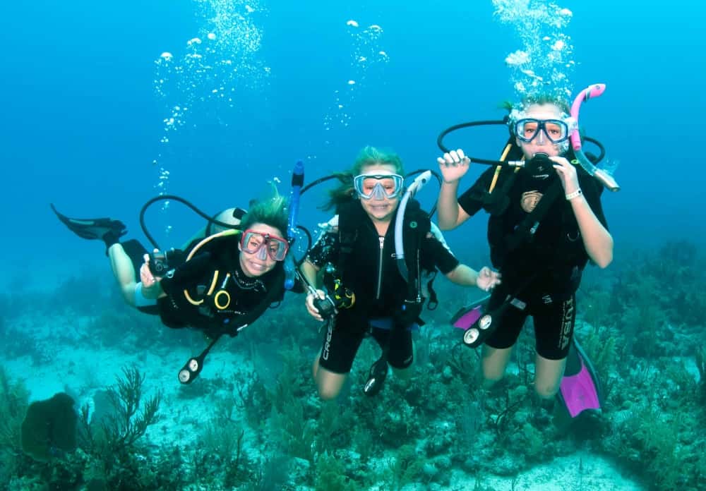 Olympian Divers — photo 3