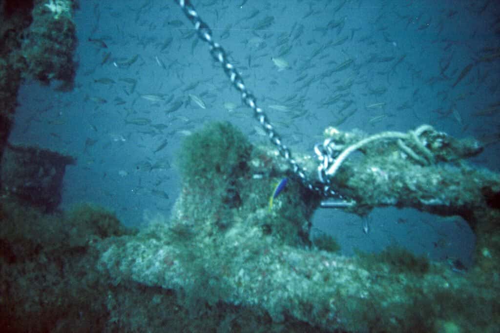 Outrageous Diving