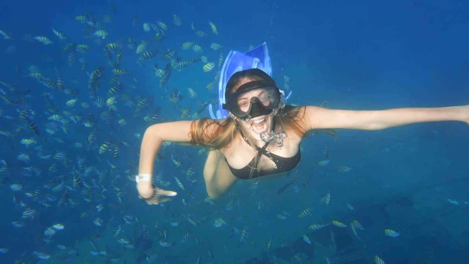 Punta Cana Scuba Diving By El Tour Caribe