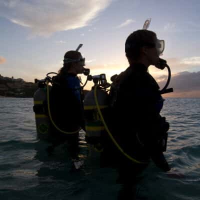 Rincón Diving & Snorkeling