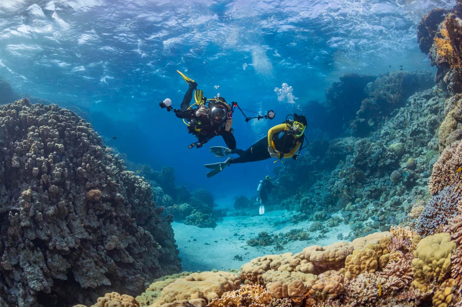 Roatan Yacht Club – Dive Center