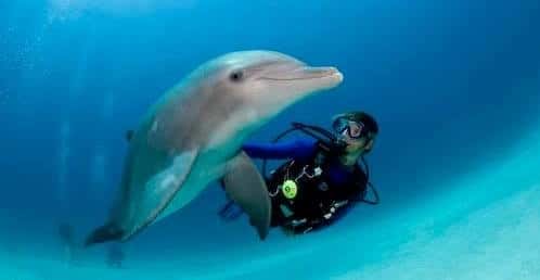 Atlantic Edge Scuba