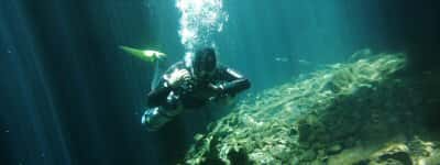 Diving Yucatan