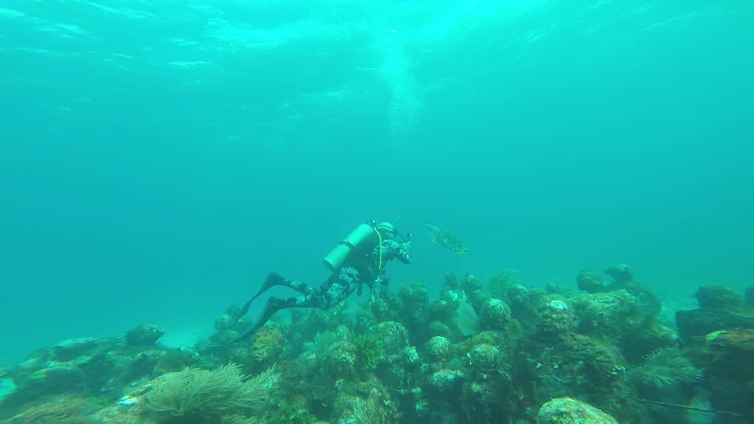 Scuba Diving Isla Mujeres Arena