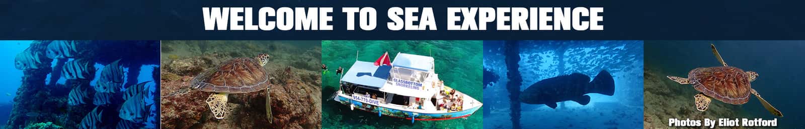 Sea Experience
