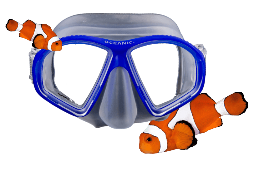 See The Sea RX