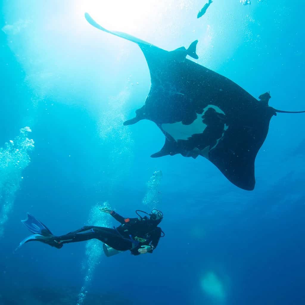 Silent World Divers