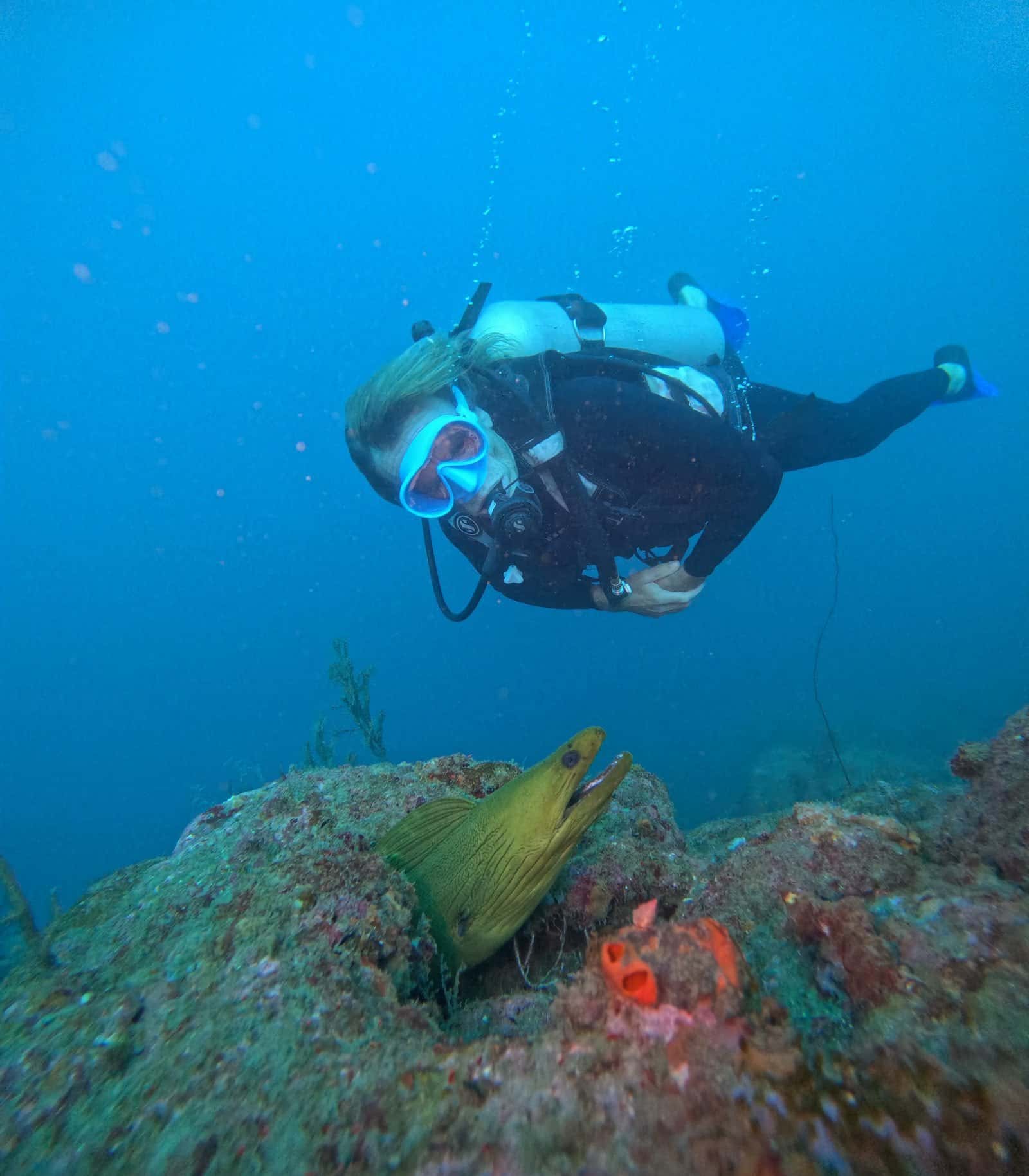 Sony Dive Center