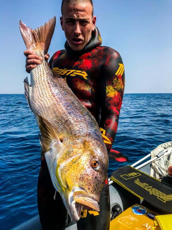 Spearfishing Life