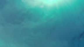 Scuba Steve's Dive & Travel