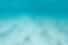 A&A Underwater Adventures Miami