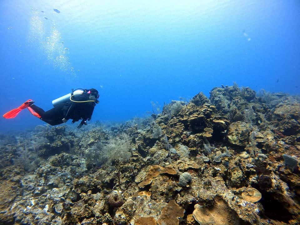 Escuela de Buceo Sea Pride
